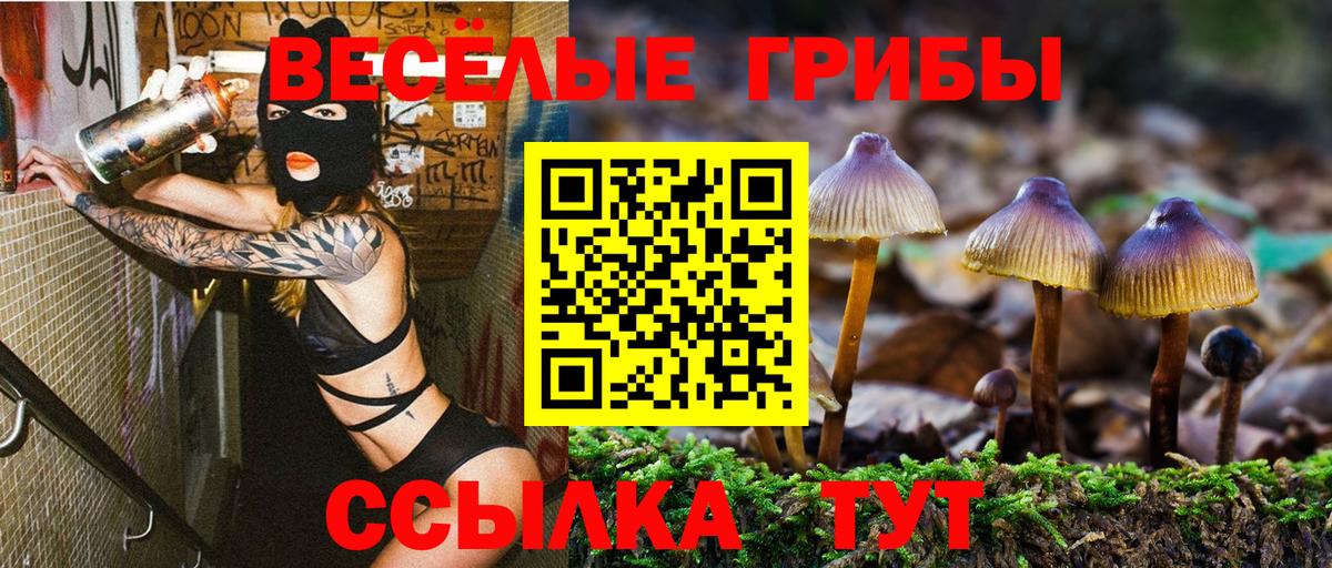 Галлюциногенные грибы Cubensis  Вход с VPN  Псилоцибиновые грибы прущие грибы  Чернушка 