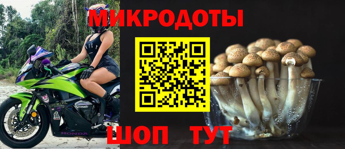 Псилоцибиновые грибы GOLDEN TEACHER Чернушка
