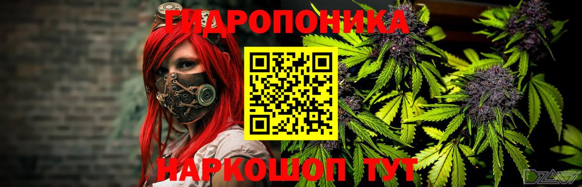 Бошки марихуана AK-47 Чернушка